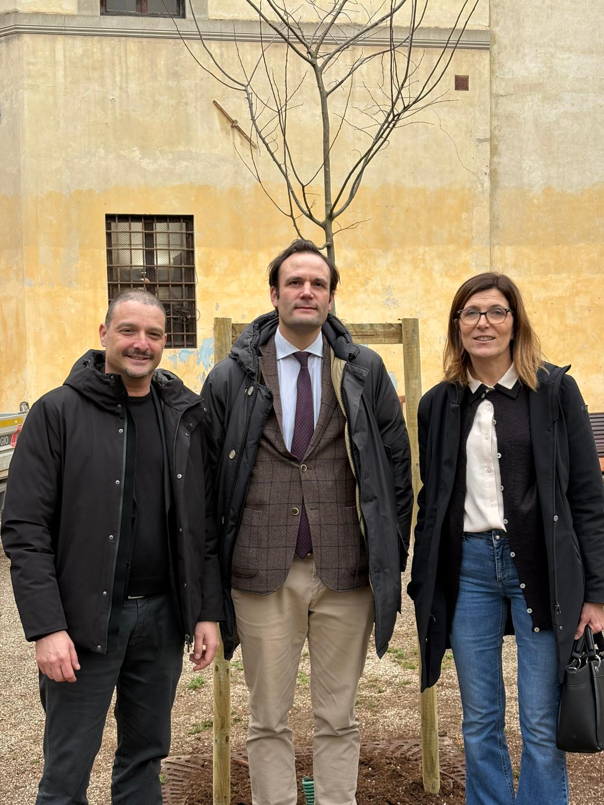 Un albero per Alessandro Chelazzi