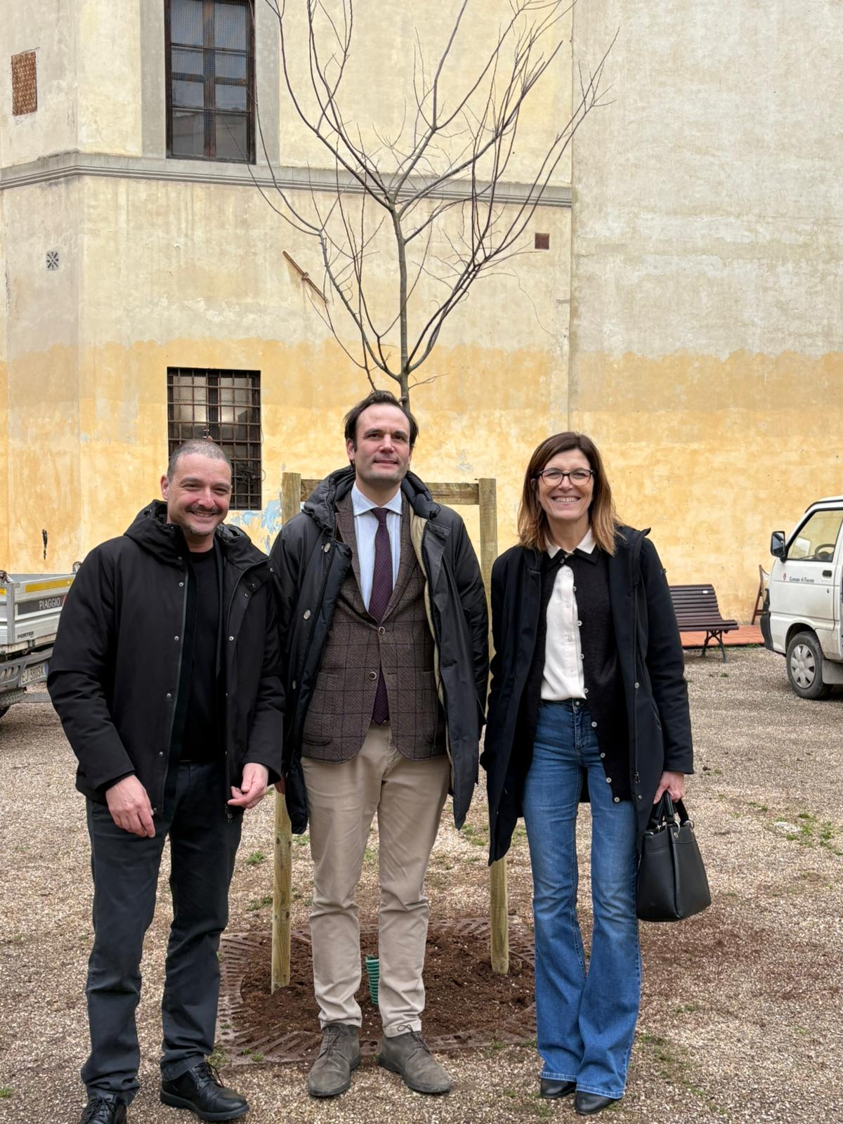 Un albero per Alessandro Chelazzi